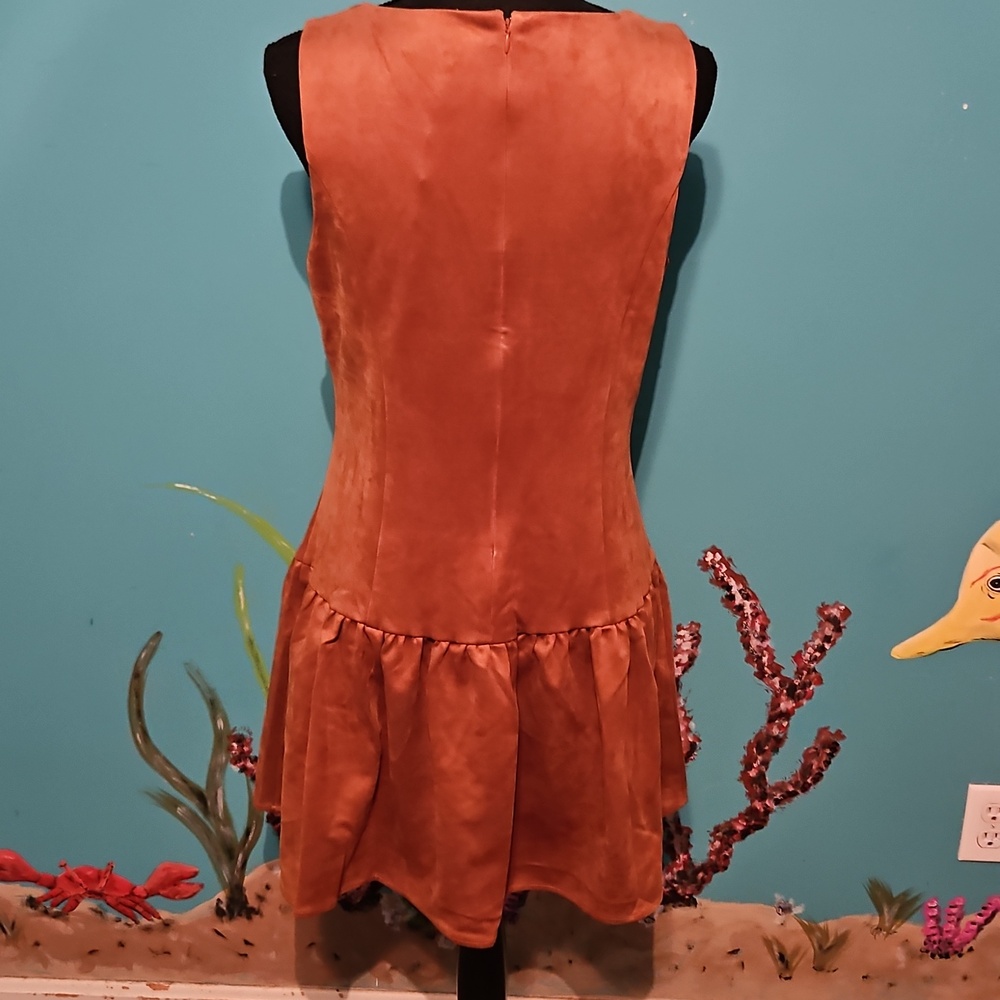Wayf Button-Front Mini Dress - Picture 4 of 7